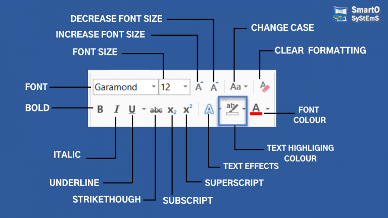 How to use Home tab Font styles | MS word Font Options