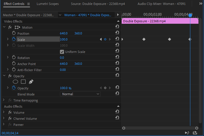 Toggle Animation & Kay frames option