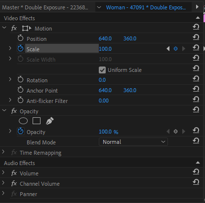 Premiere Pro Motion & Opacity option