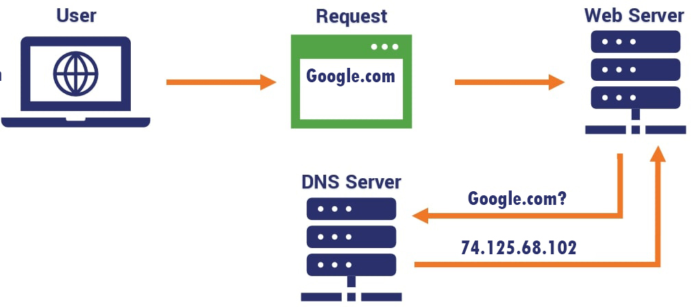 What-is-domain-name