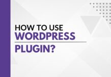 How to use a WordPress Plugin