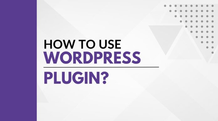 How to use a WordPress Plugin